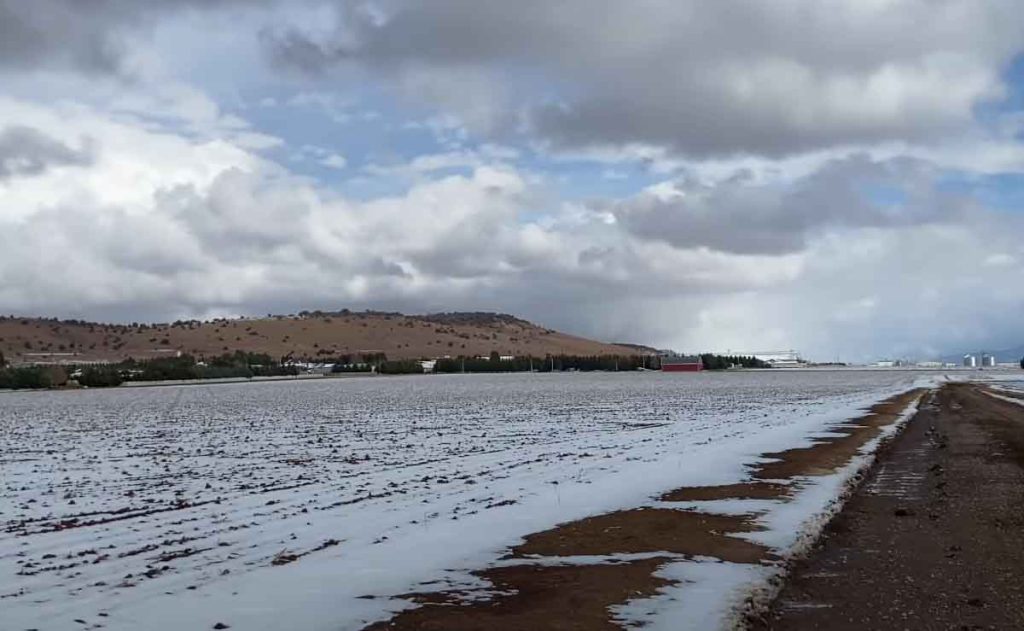 cuando es probable que caiga nieve en creel chihuahua